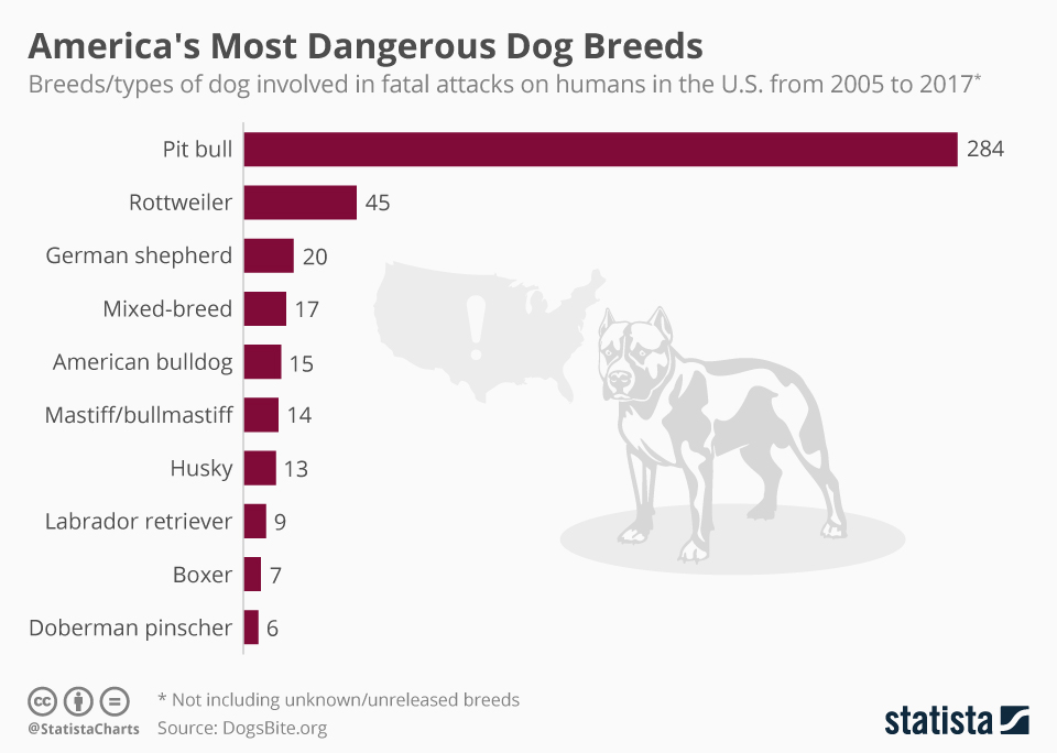 Infographic: America's Most Dangerous Dog Breeds | Statista
