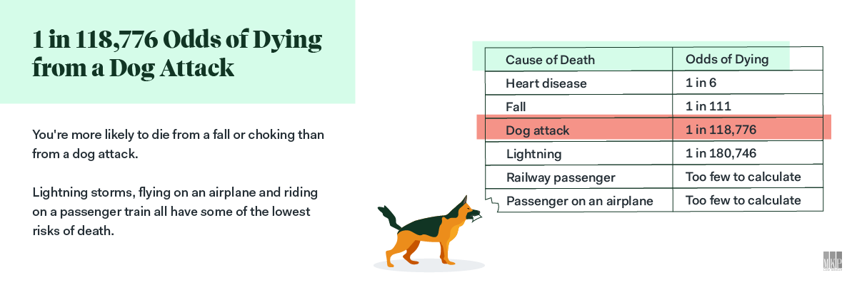 dog bite data