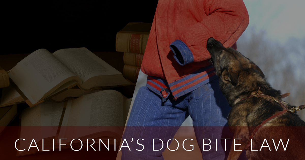 California’s Dog Bite Law